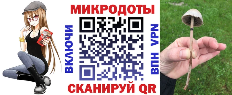 OMG как зайти  Белёв  Галлюциногенные грибы прущие грибы  наркошоп 